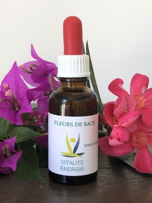 Fleurs de Bach N°40 VITALITÉ-ÉNERGIE / la Grossesse